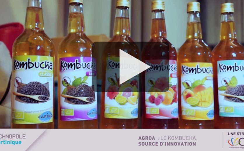14_04_28-Agroa